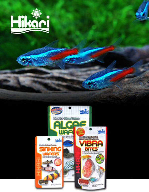 Hikari® Fish Food
